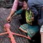 Warga menangis saat mengikuti upacara pemakaman simbolis untuk kerabat mereka yang hilang karena banjir bandang di Kuil Pashupatinath, Kathmandu, Nepal, Rabu (2/9/2026). (Foto: AFP/Prakash Mathema)