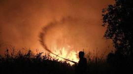 Petugas dari Dinas Kehutanan Kalteng berupaya memadamkan kebakaran di Kelurahan Menteng, Palangka Raya, Kalimantan Tengah, Kamis (27/8/2026). (Foto: Antara/Auliya Rahman)