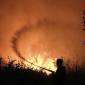 Petugas dari Dinas Kehutanan Kalteng berupaya memadamkan kebakaran di Kelurahan Menteng, Palangka Raya, Kalimantan Tengah, Kamis (27/8/2026). (Foto: Antara/Auliya Rahman)