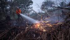 Karhutla di Kubu Raya, Kalimantan Barat. (Foto: REUTERS/Willy Kurniawan)