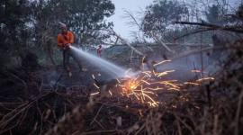 Karhutla di Kubu Raya, Kalimantan Barat. (Foto: REUTERS/Willy Kurniawan)