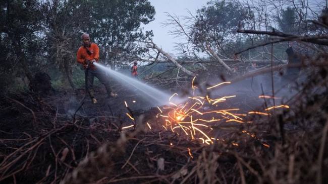 Karhutla di Kubu Raya, Kalimantan Barat. (Foto: REUTERS/Willy Kurniawan)