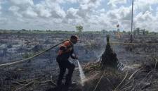Petugas BPBD Kotim saat memadamkan api di lokasi kejadian. (Foto: HO-BPBD Kotim)