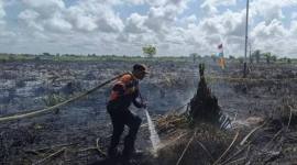 Petugas BPBD Kotim saat memadamkan api di lokasi kejadian. (Foto: HO-BPBD Kotim)