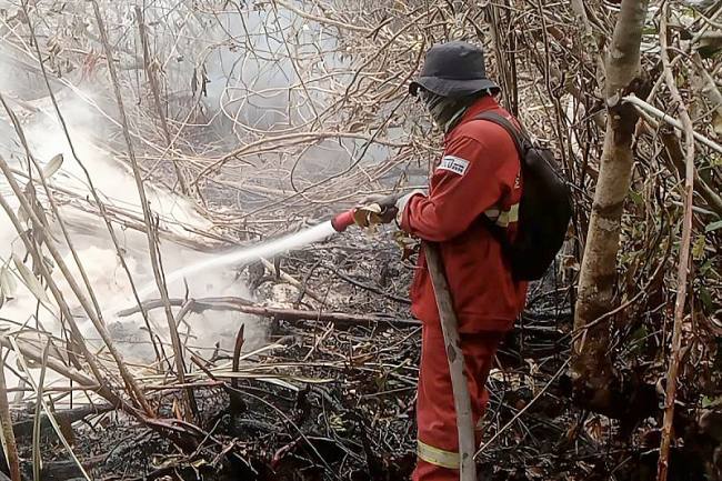 Petugas melakukan upaya penanganan karhutla di salah satu lokasi kejadian di Kalimantan Tengah, Selasa (20/10/2026). (Foto: HO-Manggala Agni)