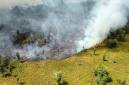 
Taman Nasional Tanjung Puting (TNTP) terbakar. (Foto: HO-TNTP)