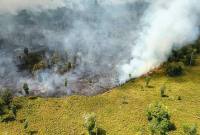 
Taman Nasional Tanjung Puting (TNTP) terbakar. (Foto: HO-TNTP)