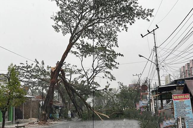 Pohon besar tumbang hingga menutupi seluruh badan jalan di Jalan Karang Anyar, Kelurahan Loktabat Utara, Kecamatan Banjarbaru Utara, Banjarbaru, Minggu (25/10/2026) petang. (Foto: Antara)