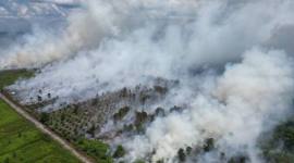 Foto ilustrasi Karhutla yang melanda Desa Soren, Kecamatan Kota Besi, Kabupaten Kotawaringin Timur, Kalimantan Tengah, Kamis (9/7/2026).(HO-BPBD Kotim)