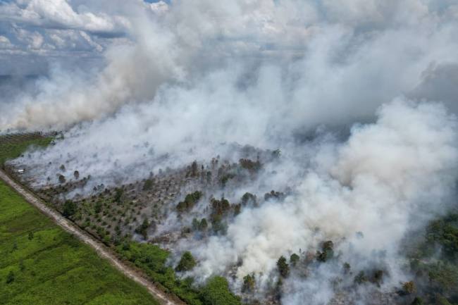 Foto ilustrasi Karhutla yang melanda Desa Soren, Kecamatan Kota Besi, Kabupaten Kotawaringin Timur, Kalimantan Tengah, Kamis (9/7/2026).(HO-BPBD Kotim)