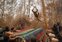 Penyelamatan Orang Utan di Kabupaten Ketapang dan Kayong Utara dari Karhutla. (Foto: HO-YIARI)