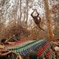 Penyelamatan Orang Utan di Kabupaten Ketapang dan Kayong Utara dari Karhutla. (Foto: HO-YIARI)