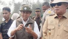 Menteri Kehutanan Raja Juli Antoni meninjau penanggulangan kebakaran hutan dan lahan (karhutla) di Hutan Lindung Liang Anggang, Banjarbaru, Kalimantan Selatan, Senin (12/10/2026). (HO-Antara)