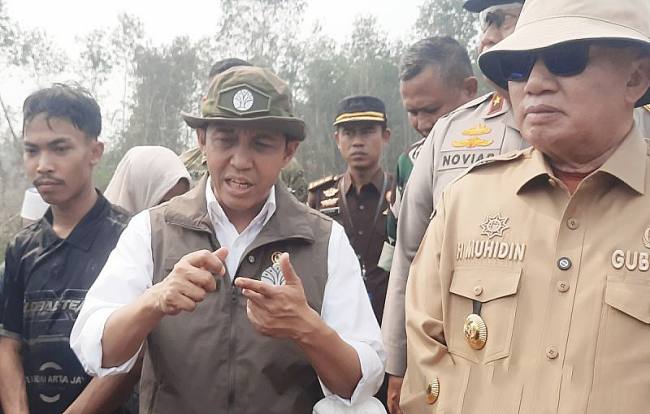 Menteri Kehutanan Raja Juli Antoni meninjau penanggulangan kebakaran hutan dan lahan (karhutla) di Hutan Lindung Liang Anggang, Banjarbaru, Kalimantan Selatan, Senin (12/10/2026). (HO-Antara)