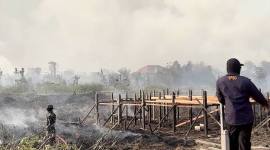 TIM gabungan penanggulangan kebakaran hutan dan lahan (karhutla) melakukan pendinginan di lahan bekas terbakar yang berada di dekat permukiman warga di Kabupaten Kutai Timur, Kalimantan Timur. (Foto: Antara/M Hafif Nikolas)
