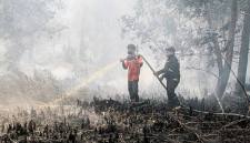 Petugas melakukan pemadaman kebakaran lahan di wilayah Kota Palangka Raya. (Foto: HO-Antara)