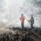 Petugas melakukan pemadaman kebakaran lahan di wilayah Kota Palangka Raya. (Foto: HO-Antara)
