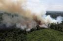 Kebakaran hutan dan lahan (Karhutla) yang terjadi di Kabupaten Kubu Raya, Kalimantan Barat. (Foto: HO-Antara Kalbar)