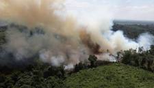 Kebakaran hutan dan lahan (Karhutla) yang terjadi di Kabupaten Kubu Raya, Kalimantan Barat. (Foto: HO-Antara Kalbar)