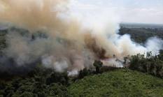 berita-pilihan-foto