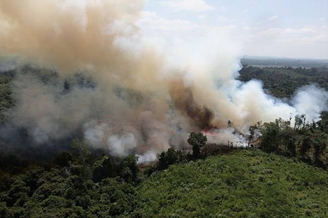 Kebakaran hutan dan lahan (Karhutla) yang terjadi di Kabupaten Kubu Raya, Kalimantan Barat. (Foto: HO-Antara Kalbar)