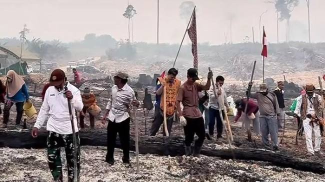 Bupati Lamandau Rizky Aditya Putra turut serta dalam kegiatan menugal padi gogo di lahan eks kebakaran. (Foto: Istimewa)
