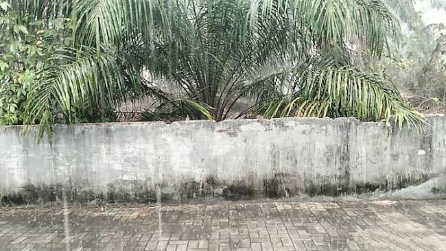Hujan saat mengguyur Pangkalan Bun, Kalimantan Tengah, Jumat (16/10/2026). (Foto: detikKalimantan)