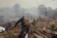 Karhutla di Sampit. (Foto: Istimewa)