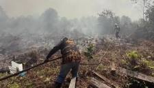 Karhutla di Sampit. (Foto: Istimewa)
