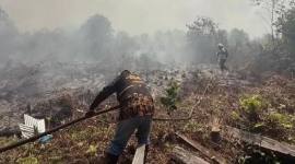 Karhutla di Sampit. (Foto: Istimewa)