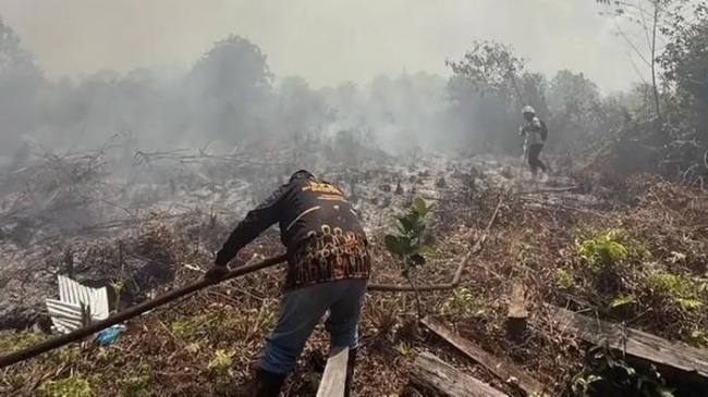 Karhutla di Sampit. (Foto: Istimewa)