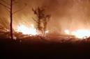 Manggala Agni Kemenhut memadamkan karhutla di Panarung, Palangka Raya. (Foto: HO-Kemenhut)