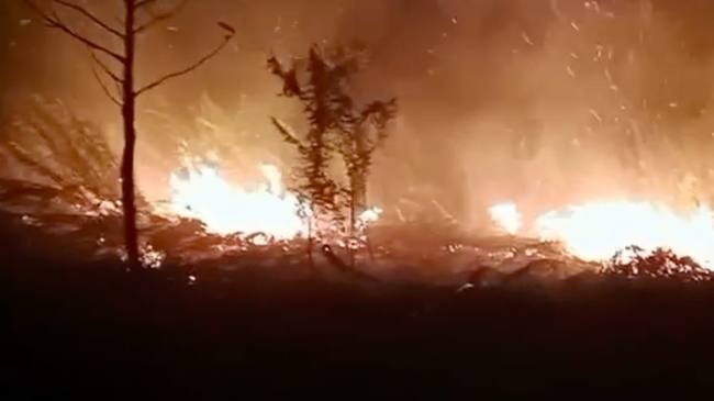 Manggala Agni Kemenhut memadamkan karhutla di Panarung, Palangka Raya. (Foto: HO-Kemenhut)