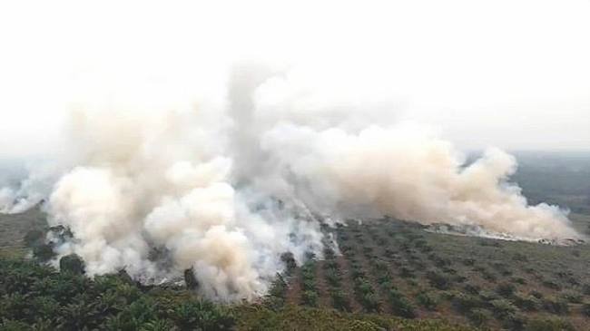 Penampakan karhutla dari atas di wilayah Jalan Kotawaringin Lama terbaru. (Foto: HO-BPBD Kobar)