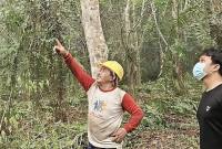 Pencarian orang utan terdampak karhutla. (Foto: HO-BKSDA Kalteng)