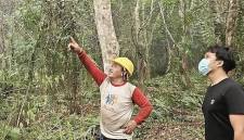 Pencarian orang utan terdampak karhutla. (Foto: HO-BKSDA Kalteng)