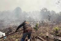 Petugas BPBD Kotawaringin Timur berjuang memadamkan api karhutla. (Foto: HO-BPBD Kotim)
