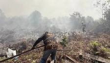 Petugas BPBD Kotawaringin Timur berjuang memadamkan api karhutla. (Foto: HO-BPBD Kotim)
