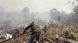 Petugas BPBD Kotawaringin Timur berjuang memadamkan api karhutla. (Foto: HO-BPBD Kotim)
