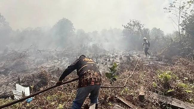 Petugas BPBD Kotawaringin Timur berjuang memadamkan api karhutla. (Foto: HO-BPBD Kotim)
