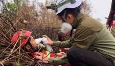 Potret relawan karhutla sedang berjuang padamkan api di Kalimantan Barat. (Foto: HO-Relawan Pray for Kalimantan)