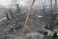 Sisa lahan yang ludes terbakar karhutla di Kalsel. (Foto: detikKalimantan/Khairun Nisa)