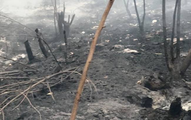 Sisa lahan yang ludes terbakar karhutla di Kalsel. (Foto: detikKalimantan/Khairun Nisa)