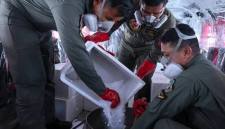 Tim mempersiapkan pelaksanaan OMC di Kalteng. (Foto: Istimewa)