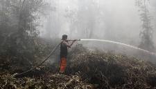 Petugas satgas gabungan berupaya memadamkan kebakaran hutan dan lahan (karhutla) di Kalteng beberapa waktu lalu. (Foto: HO-Antara)
