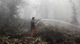 Petugas satgas gabungan berupaya memadamkan kebakaran hutan dan lahan (karhutla) di Kalteng beberapa waktu lalu. (Foto: HO-Antara)