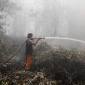 Petugas satgas gabungan berupaya memadamkan kebakaran hutan dan lahan (karhutla) di Kalteng beberapa waktu lalu. (Foto: HO-Antara)