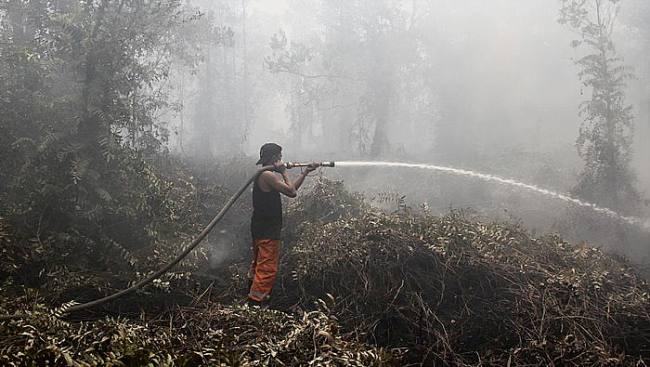 Petugas satgas gabungan berupaya memadamkan kebakaran hutan dan lahan (karhutla) di Kalteng beberapa waktu lalu. (Foto: HO-Antara)